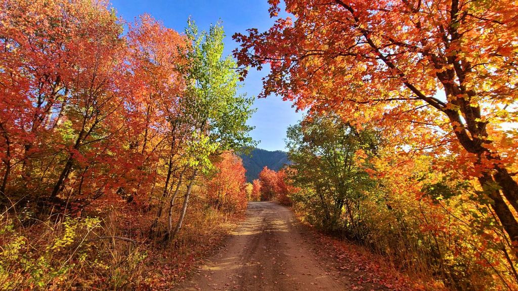 Welcome to Fall Semester